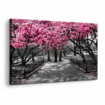 Black And White Pink Blossom On Trees Canvas Print